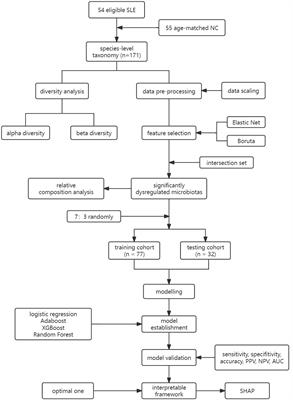 Gut microbiota landscape and potential biomarker identification in female patients with systemic lupus erythematosus using machine learning